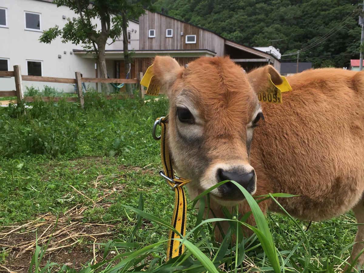 Kawashima Ryokan Wakkanai Esterno foto